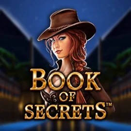 Try Book of Secrets slot by SYNOT Games on casinovacasinoo.com – logo image